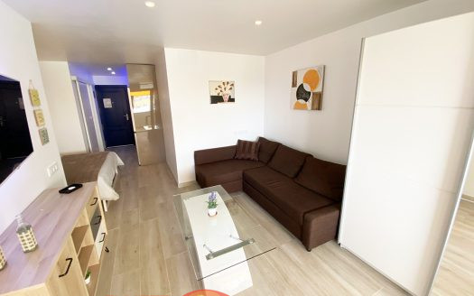 Studio Apartment AP-330