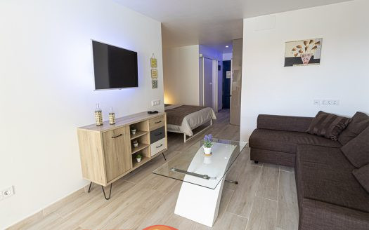 Studio Apartment AP-330