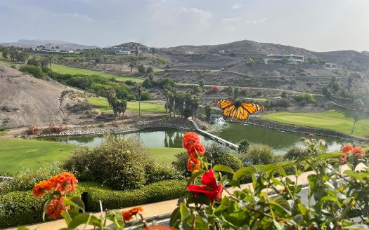 Haus-Chalét H-174/SW