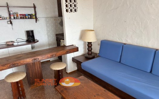 Apartment AP-335