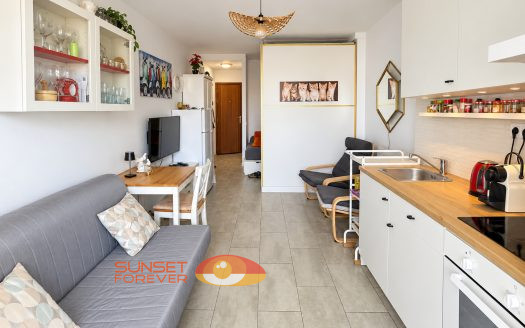 Studio-Apartment AP-338/SW
